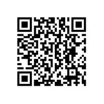 RNC55H5363FSBSL QRCode