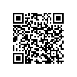 RNC55H6041FSBSL QRCode