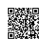 RNC55J1301FSBSL QRCode