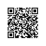 RNC55J1334BSB14 QRCode