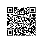 RNC55J1653BSBSL QRCode