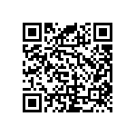 RNC55J1691BSRE6 QRCode