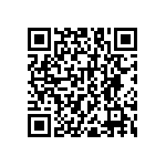 RNC55J1743BSRE6 QRCode