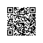 RNC55J17R4BSBSL QRCode