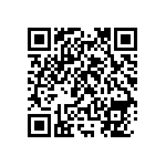 RNC55J1913BSBSL QRCode