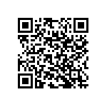 RNC55J2002BSBSL QRCode