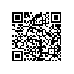 RNC55J2002DSBSL QRCode