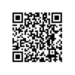 RNC55J2052BSBSL QRCode