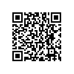 RNC55J2403BSBSL QRCode