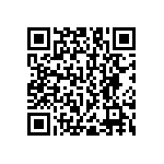 RNC55J2463BSBSL QRCode