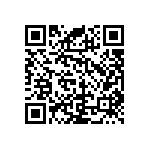 RNC55J2493BSBSL QRCode