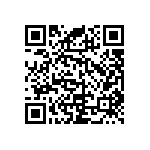 RNC55J2873BSRE6 QRCode