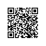 RNC55J2910BSRSL QRCode