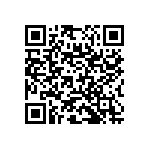 RNC55J3003BSRE6 QRCode