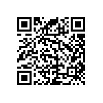 RNC55J3013DSRSL QRCode