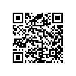 RNC55J3053BSBSL QRCode