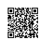 RNC55J3092FSBSL QRCode