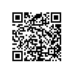 RNC55J3093BSRE6 QRCode