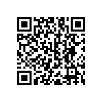 RNC55J3120BSRE6 QRCode