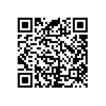 RNC55J4070BSRE6 QRCode