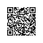 RNC55J4173BSBSL QRCode