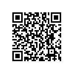 RNC55J4873BSBSL QRCode