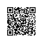 RNC55J5171BSBSL QRCode