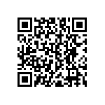 RNC55J5173BSRE6 QRCode