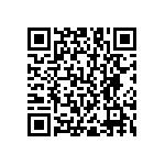 RNC55J6041BSBSL QRCode