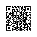 RNC55J6041BSR36 QRCode