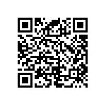 RNC55J6042BPRE6 QRCode