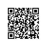 RNC55J7153BSRE6 QRCode