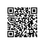 RNC55J8063FSBSL QRCode