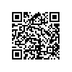 RNC60J1002BSRE6 QRCode