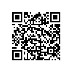 RNC60J3011BSRE6 QRCode