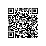 RNC60J3013FSRE6 QRCode