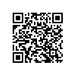 RNC60K3013FSB14 QRCode