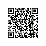 RNCF0402BTC4K87 QRCode