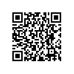 RNCF0402DKE17K4 QRCode