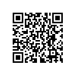 RNCF0402DKE316R QRCode