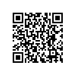 RNCF0402DTE63K4 QRCode