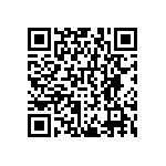 RNCF0402DTE9K31 QRCode