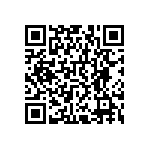 RNCF0402TKT4K12 QRCode