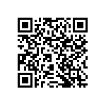 RNCF0603DTE133R QRCode