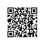 RNCF0805BKT13K3 QRCode