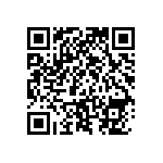 RNCF1206BKE13K2 QRCode