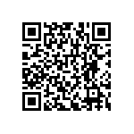 RNCF1206BKE487K QRCode