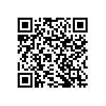 RNCF1206BTE2M32 QRCode