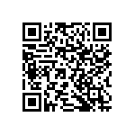 RNCF1206BTE312R QRCode