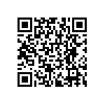 RNCF1206BTE3K60 QRCode